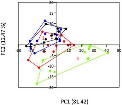 Microbiota Induced Changes in the Immune Response in Pregnant Mice